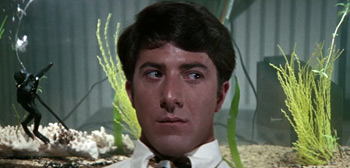 The Graduate Trailer Watch Online