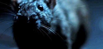 Morgan Spurlock's Rats Trailer Watch Online