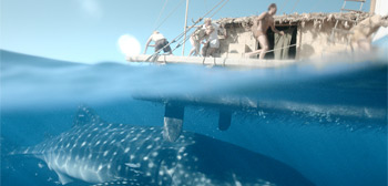 Kon-Tiki Trailer Watch Online