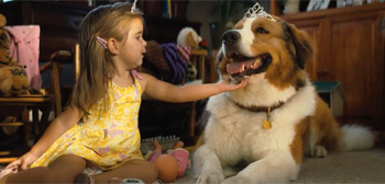 A Dog's Journey Trailer Watch Online