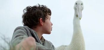 Storm Boy Trailer Watch Online