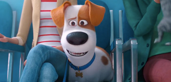 The Secret Life of Pets 2 Trailer Watch Online