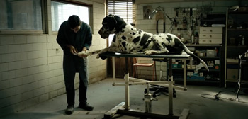 Dogman Trailer Watch Online