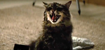 Pet Sematary Movie Trailer Watch Online