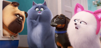 The Secret Life of Pets 2 Trailer Watch Online