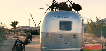 Dead Ant Trailer Watch Online