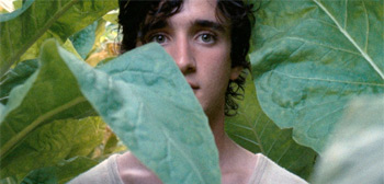 Happy as Lazzaro Trailer Watch Online