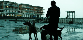 Dogman Trailer Watch Online