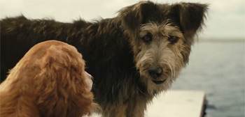 Lady and the Tramp Trailer Watch Online