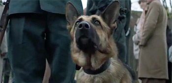 Shepherd: The Hero Dog Trailer Watch Online